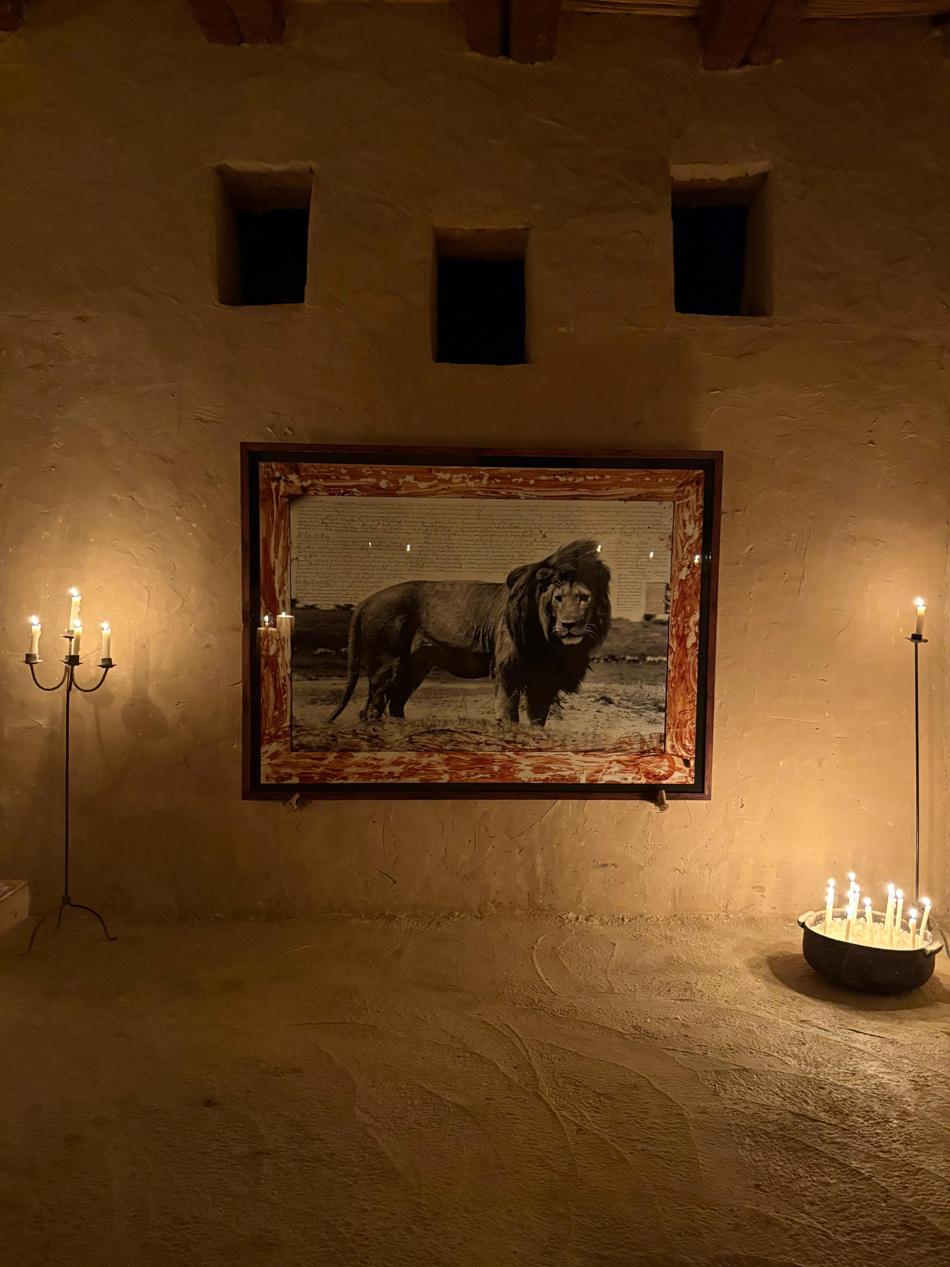 Peter Beard framed photograph