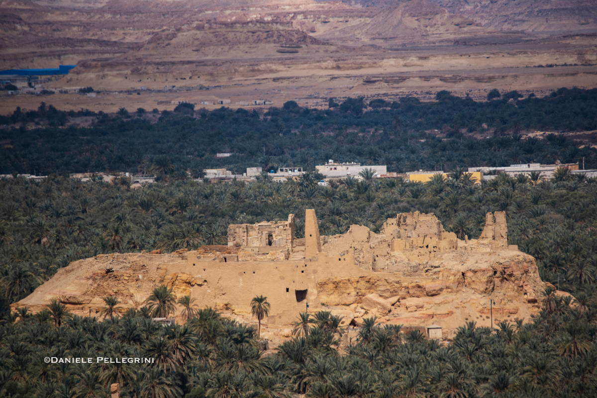 The Shali fortress rising above the palm groves of Siwa