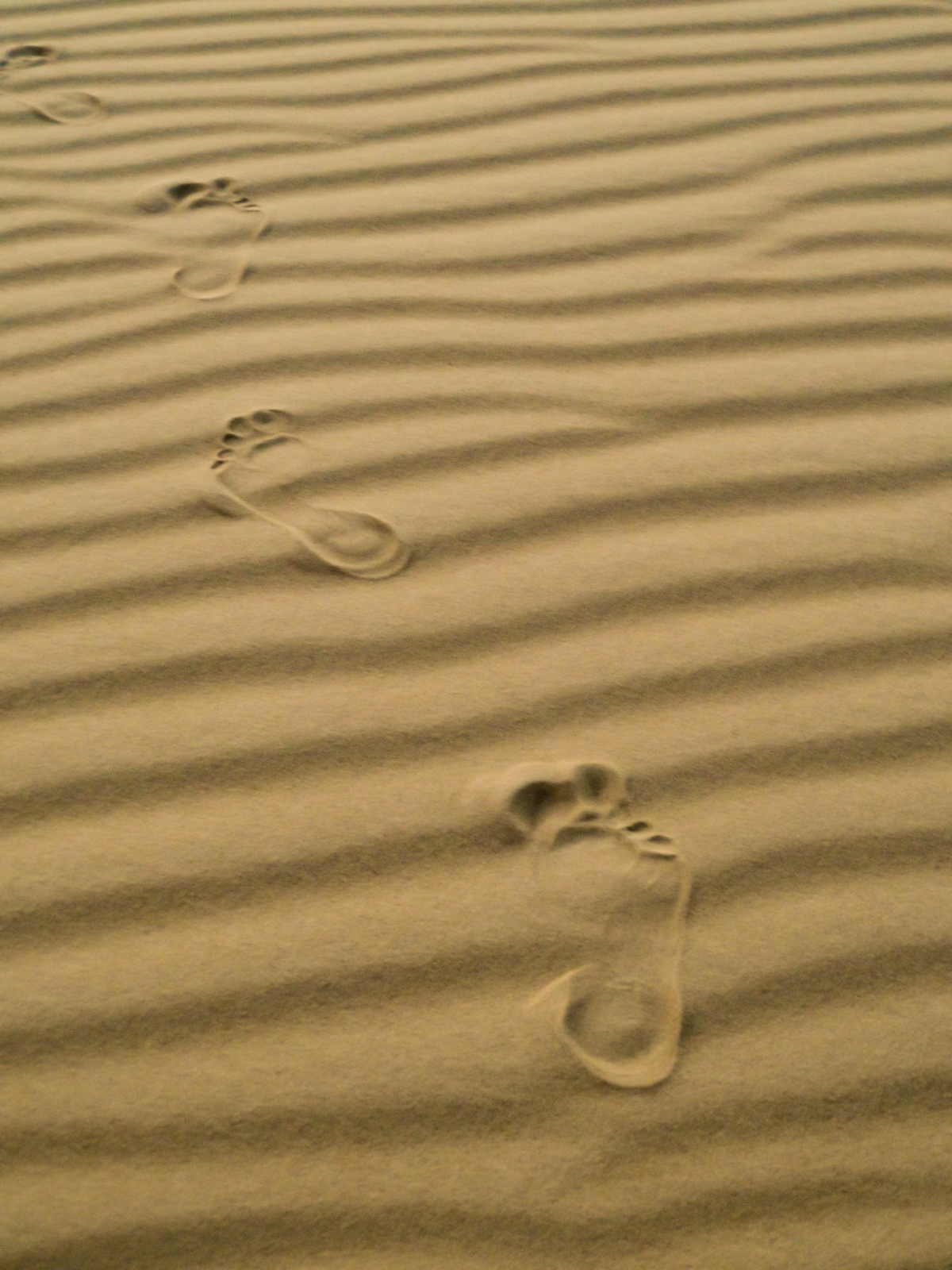 Planning a journey to Siwa