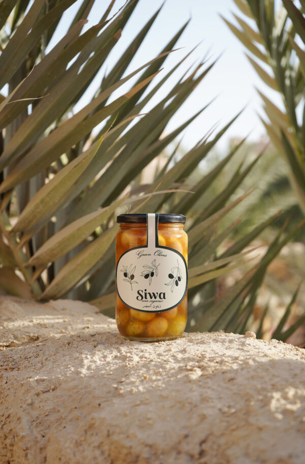 Green Pickled Olives